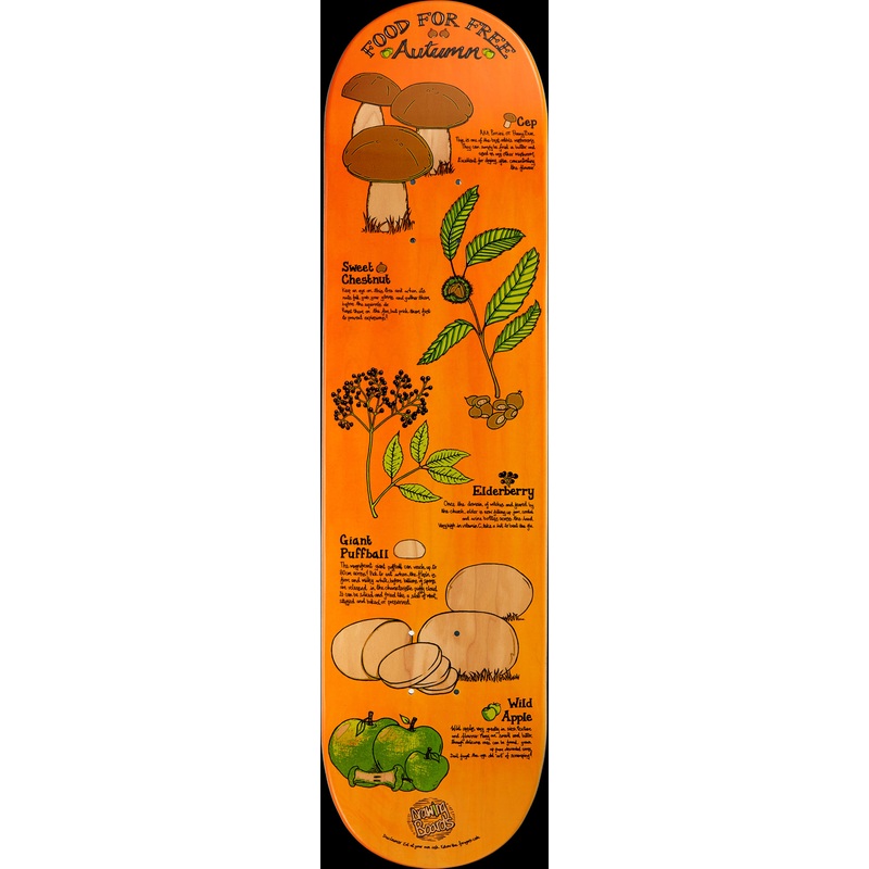 Drawing Boards Autumn Skateboard Deck - 8.25"