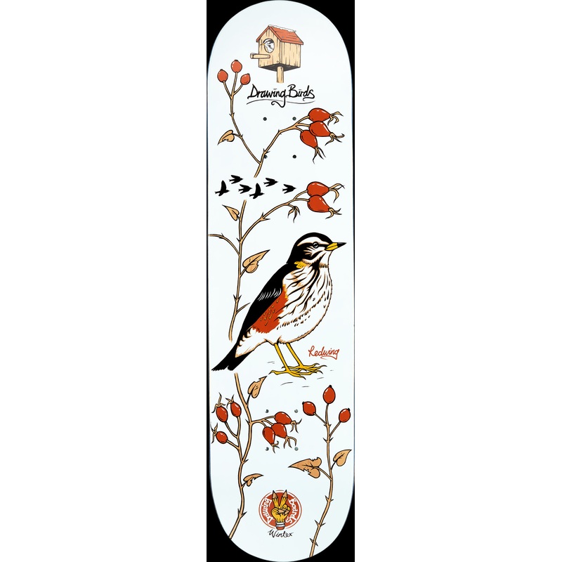 Drawing Boards Redwing Skateboard Deck - 8.5"