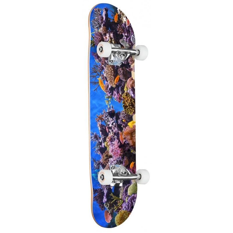 Mini Logo Fish Tank Mini Complete Skateboard - 7.5"