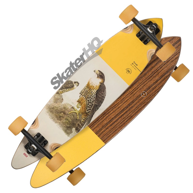 Globe Pintail 34 Complete - Falcon