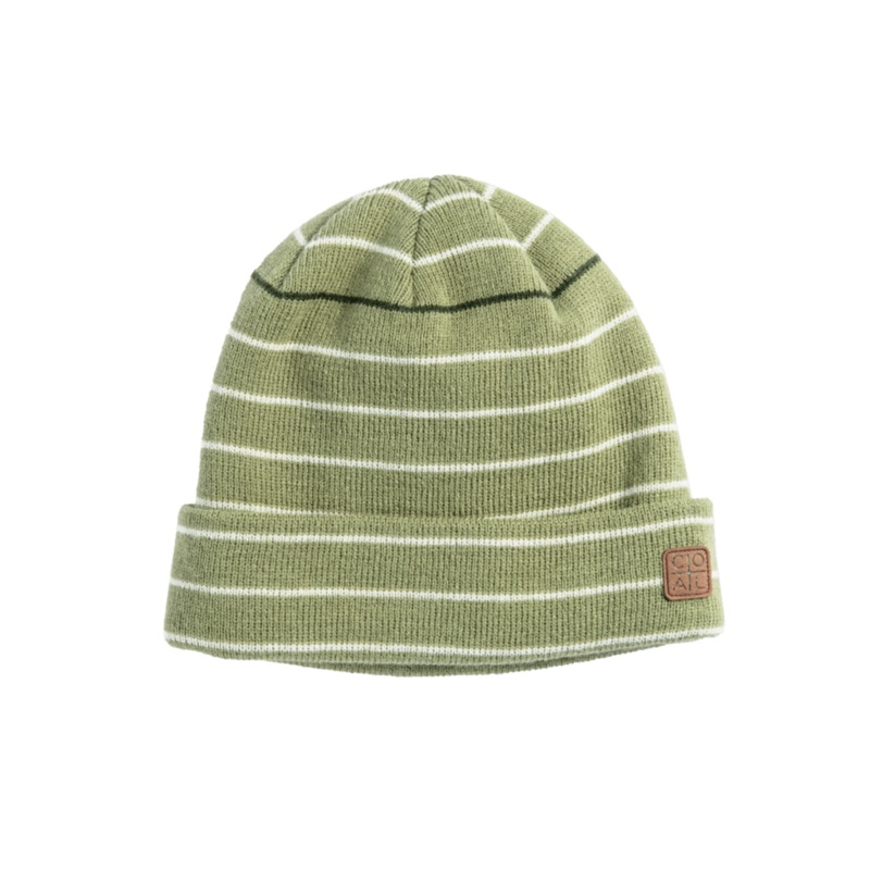 Coal Harbor Beanie in Sage and Off White