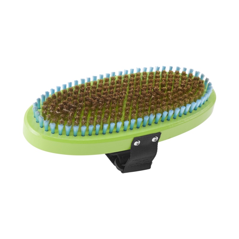 Dakine Premium Oval Brass Brush in Green 2025