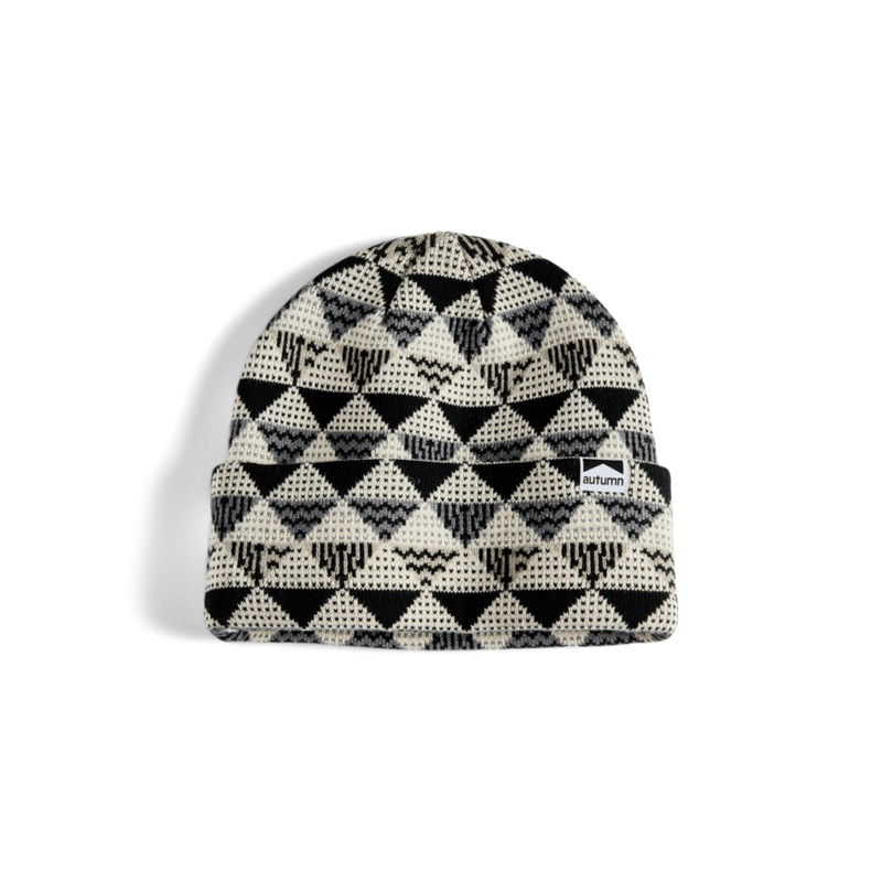 Autumn Surplus Landscape Beanie in Black 2025