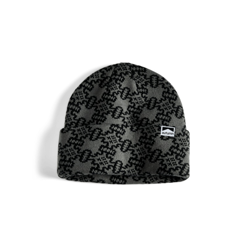 Autumn Surplus Landscape Beanie in Grey 2025