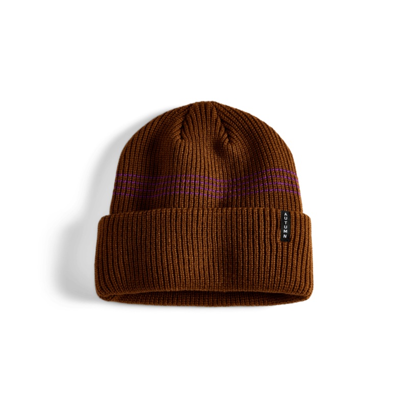 Autumn Select Mini Stripe Beanie in Brown Iris 2025