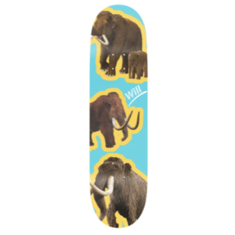 Alltimers Species Will Skateboard Deck in 8.3''