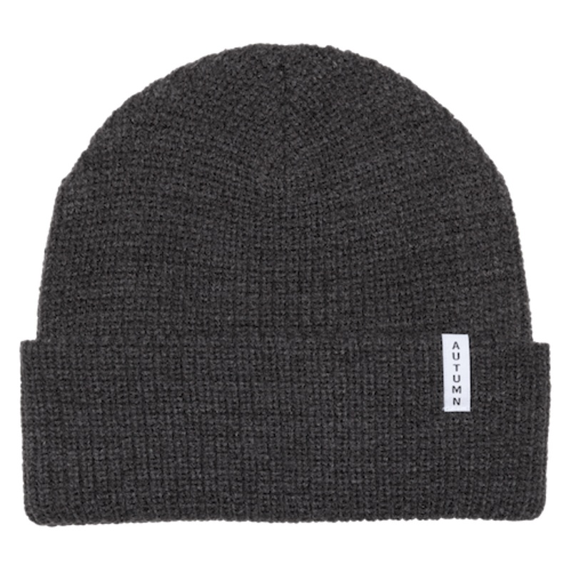 Autumn Basic Youth Beanie In Charcoal
