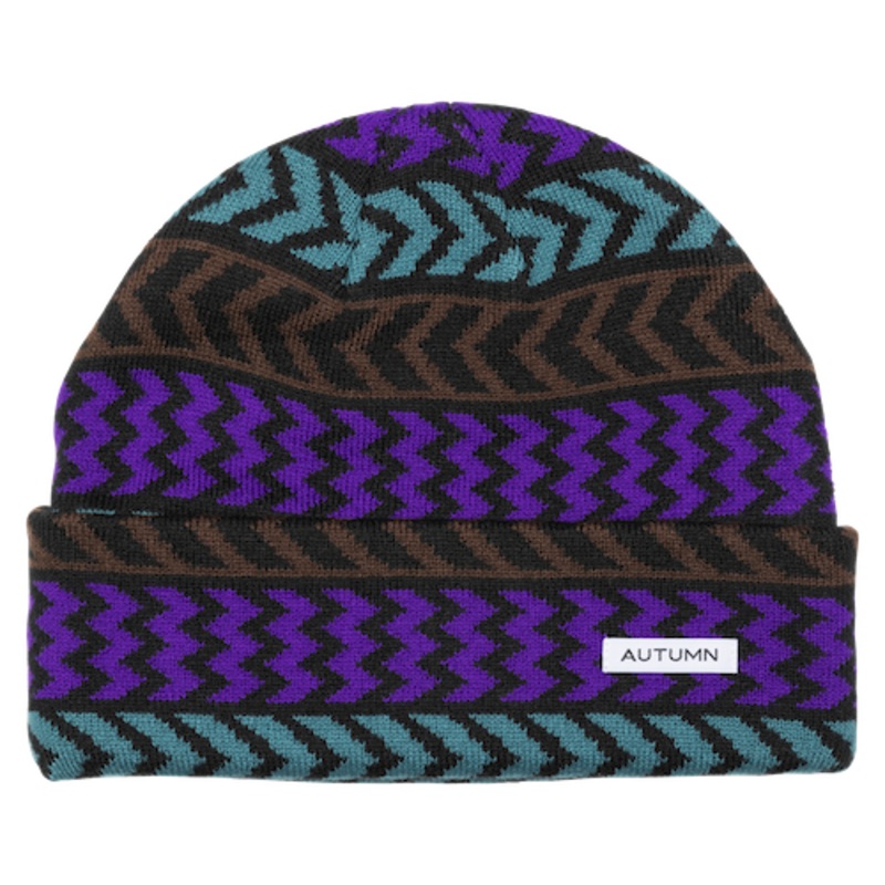Autumn Chevron Beanie In Purple