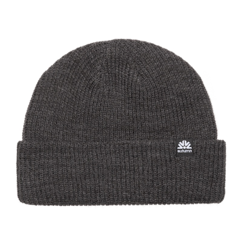 Autumn Simple Beanie In Charcoal