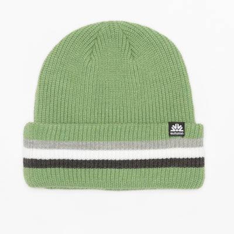 Autumn Cuff Beanie in Moss 2024