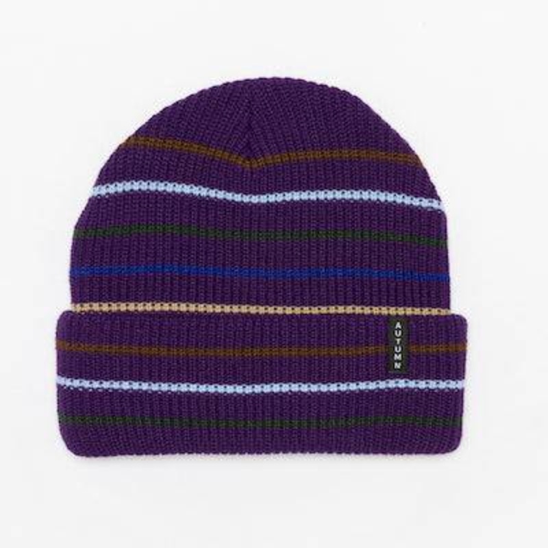 Autumn Multi Stripe Beanie in Purple 2024