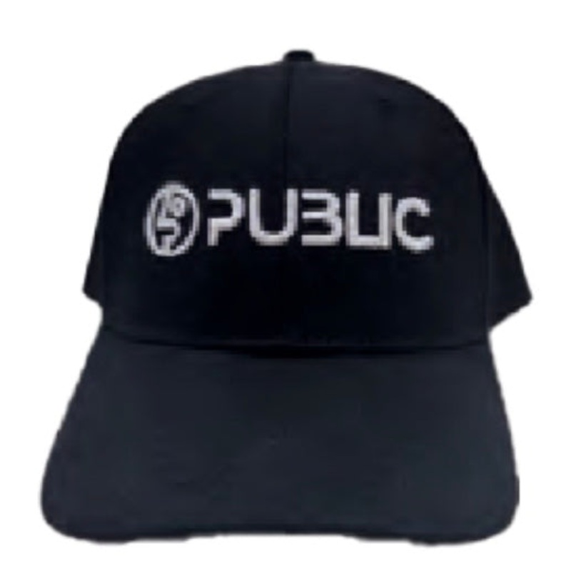 Public Logo Hat