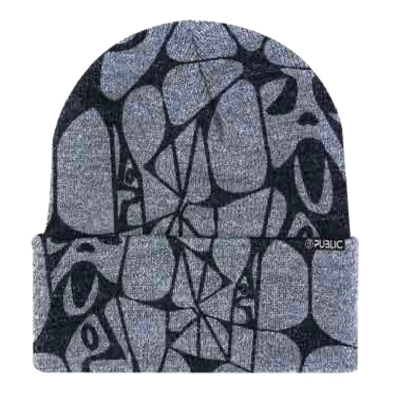 PUBLIC General Beanie 2025