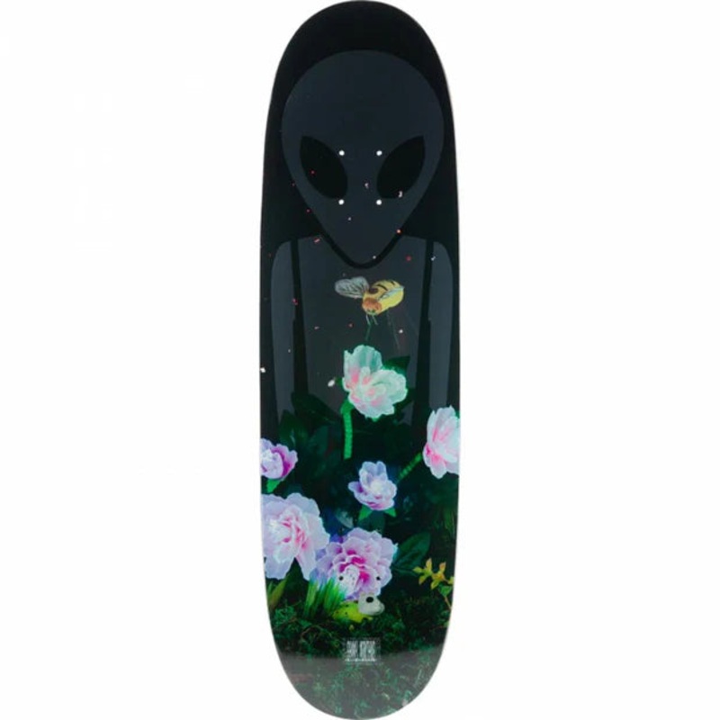 Alien Workshop - Sammy Montano Midnight Snack Deck (9")