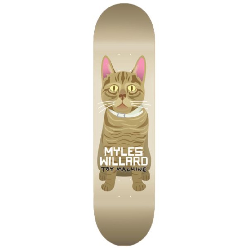Toy Machine - Myles Willard Cat Deck (8.13") *SALE