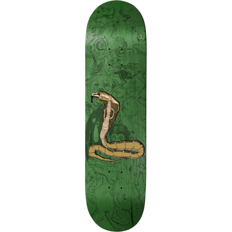Baker - Theotis Piranhaconda Deck (8.25") *SALE