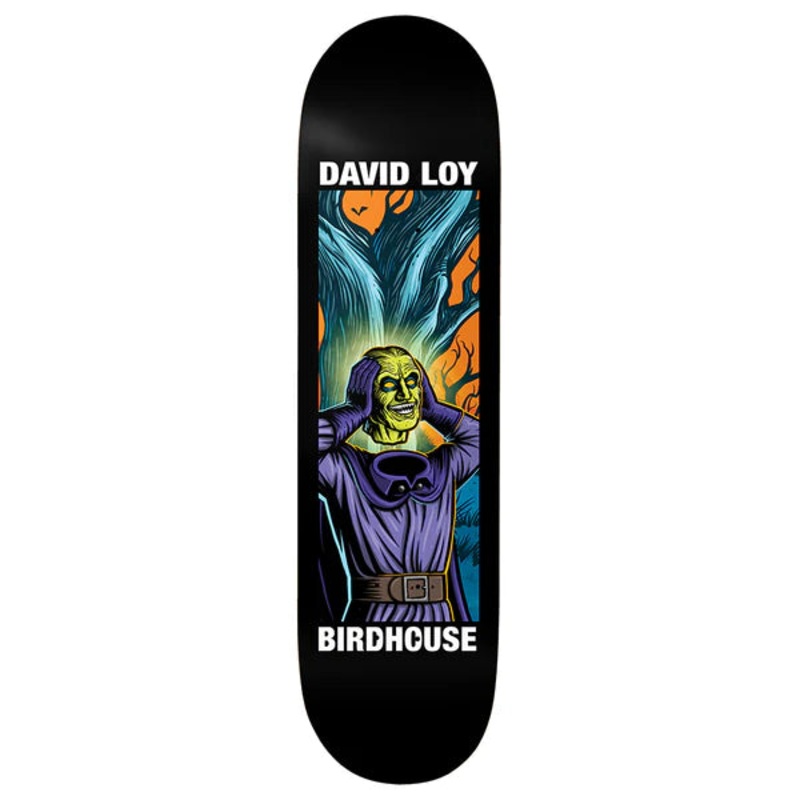 Birdhouse - David Loy Second Life Deck (8.5") *SALE