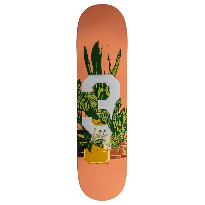 303 Boards - Big 3 Kittens Deck (Multiple Sizes) *SALE